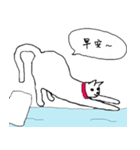 Lazy and emotional white cat（個別スタンプ：5）