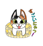 mikechigura（個別スタンプ：3）