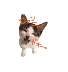 ウイとノヘア（個別スタンプ：3）