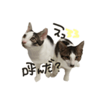 ウイとノヘア（個別スタンプ：8）