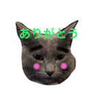 ぎんぱっく1（個別スタンプ：1）