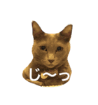 ぎんぱっく1（個別スタンプ：2）