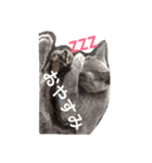 ぎんぱっく1（個別スタンプ：5）