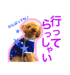 野球大好き犬☆ちくわ（個別スタンプ：31）