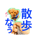 野球大好き犬☆ちくわ（個別スタンプ：40）