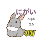 料理が上手なウサギ日本語タイ語（個別スタンプ：7）