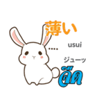 料理が上手なウサギ日本語タイ語（個別スタンプ：13）