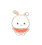 clever rabbit（個別スタンプ：1）