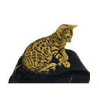 ベンガル猫のスタンプ(文字なし)（個別スタンプ：31）