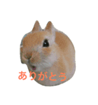 癒されるスタンプ（個別スタンプ：2）