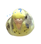 癒されるスタンプ（個別スタンプ：3）