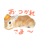 癒されるスタンプ（個別スタンプ：13）