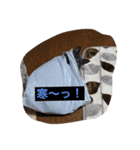 灰色ねこハク（個別スタンプ：12）