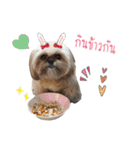 browniefb（個別スタンプ：7）