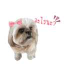 browniefb（個別スタンプ：9）