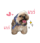 browniefb（個別スタンプ：10）