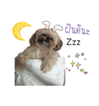 browniefb（個別スタンプ：12）