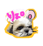 風太くん（個別スタンプ：3）