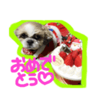 風太くん（個別スタンプ：4）