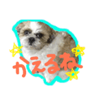 風太くん（個別スタンプ：10）