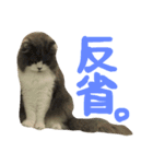 ハルナツコレクション（個別スタンプ：1）