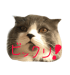 ハルナツコレクション（個別スタンプ：3）