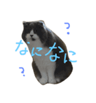 ハルナツコレクション（個別スタンプ：5）