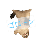 ハルナツコレクション（個別スタンプ：6）