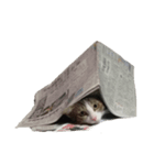 あん助（個別スタンプ：2）