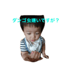 あおはんスタンプ（個別スタンプ：5）