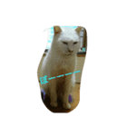 ひとことねこ8（個別スタンプ：2）