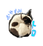 トロンプ（個別スタンプ：6）