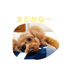 優人とピーちゃん（個別スタンプ：24）