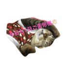 ミルキッシュのあいさつ（個別スタンプ：5）