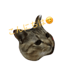 ミルキッシュのあいさつ（個別スタンプ：6）