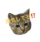 ミルキッシュのあいさつ（個別スタンプ：7）