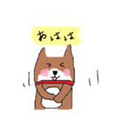 ワンコとの日々（個別スタンプ：16）