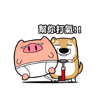 Pants Pig ＆ funny shiba inu（個別スタンプ：10）