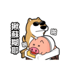 Pants Pig ＆ funny shiba inu（個別スタンプ：11）