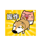 Pants Pig ＆ funny shiba inu（個別スタンプ：16）