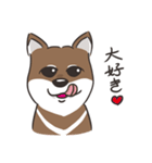 台湾momo柴犬（個別スタンプ：21）