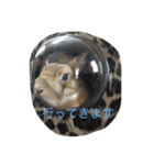 うちのウサギ のの（個別スタンプ：6）