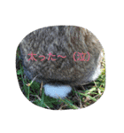 うちのウサギ のの（個別スタンプ：12）