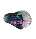 It is so cute .（個別スタンプ：1）