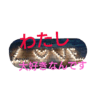 It is so cute .（個別スタンプ：8）