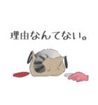 はりきらない猫（個別スタンプ：6）