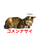 Lilyさんスタンプ02（個別スタンプ：4）