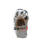 猫好きなアキコさんへ（個別スタンプ：9）