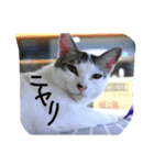 ひきじの日常（個別スタンプ：6）