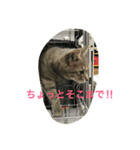 ひーふーみー（個別スタンプ：3）